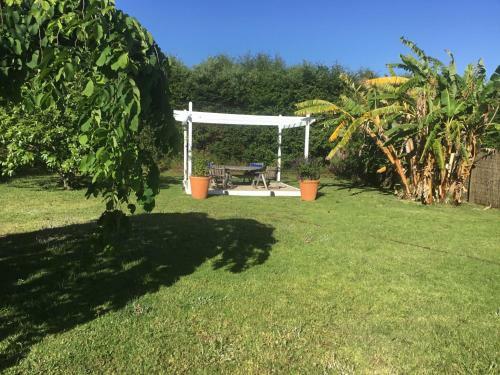 Pa Road B&B Kerikeri Nz