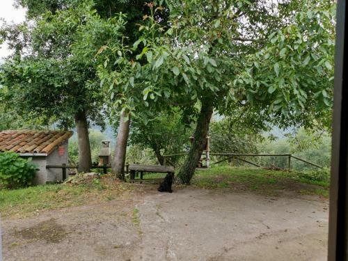 Casa Rural En Arriondas