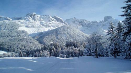 Berg Chalet
