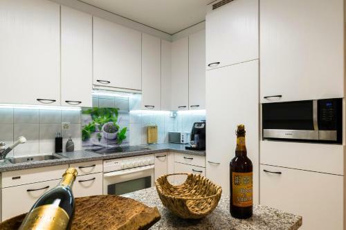 Cozy, Large, Modern, Apartment - In Basel