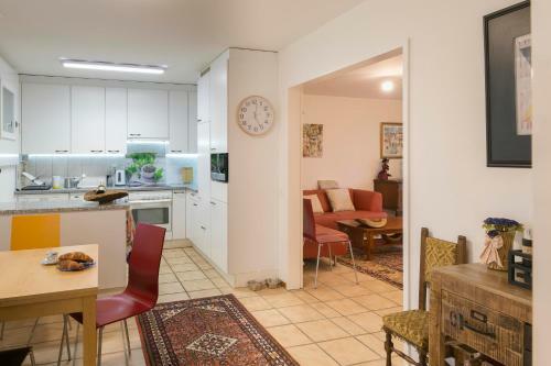Cozy, Large, Modern, Apartment - In Basel