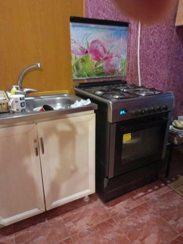 Downtown Apartment In Gyumri