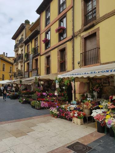 Apartamento Arco 4 Fontan Loft