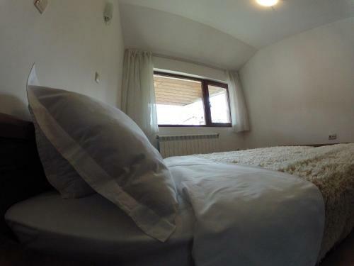 Ski In - Ski Out Kosara Bansko Apartment