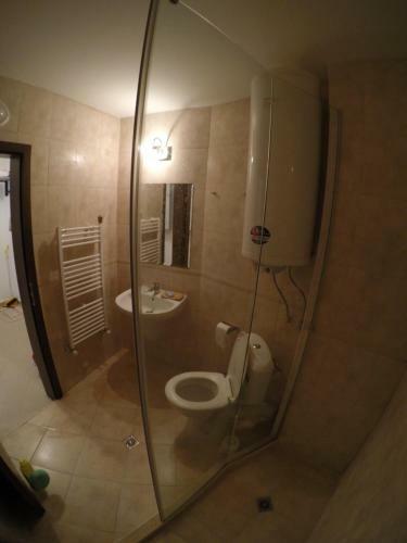 Ski In - Ski Out Kosara Bansko Apartment