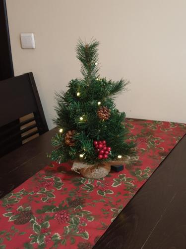 Dream Apart Hotel 207