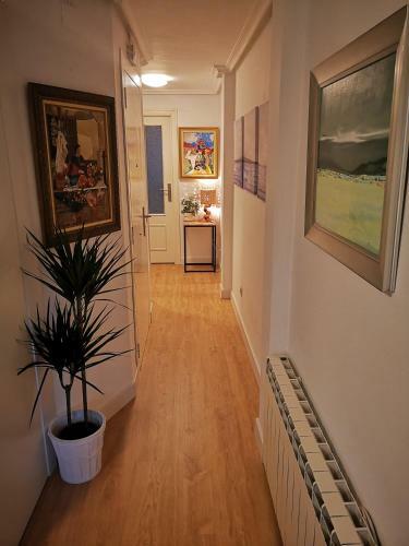 Apartamento Al Lado De La Catedral