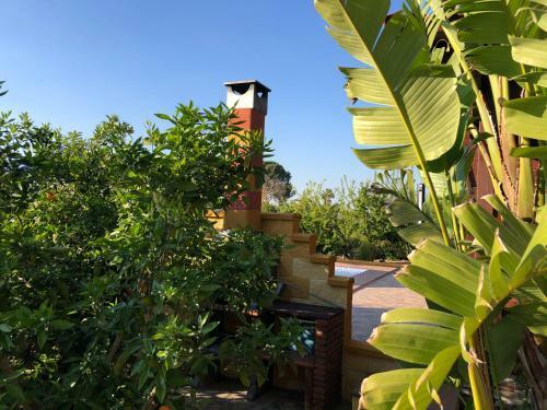 Chalet Con Piscina El Oasis Del Palomar