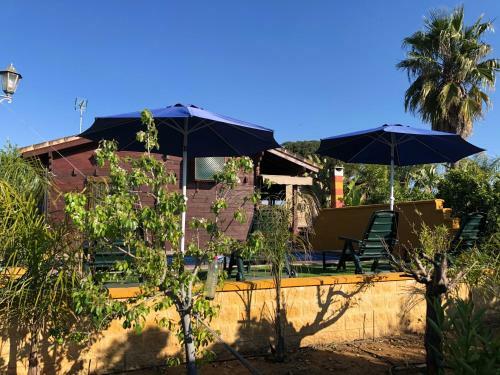 Chalet Con Piscina El Oasis Del Palomar