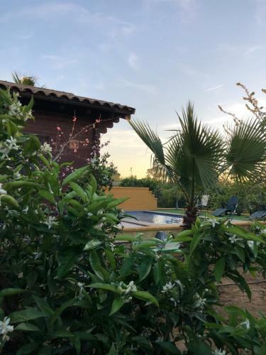 Chalet Con Piscina El Oasis Del Palomar