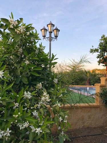 Chalet Con Piscina El Oasis Del Palomar