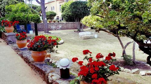 Apartamento Con Jard�n A 11 Metros de La Playa. Cg.