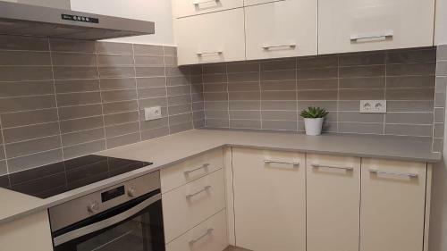 Palam�s Apartament Superior Garoina
