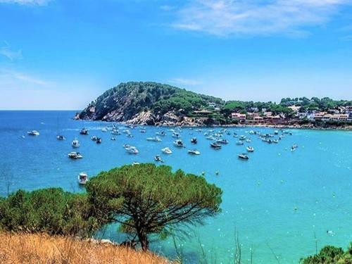 Modern Apartment In Palam�s Near Beach