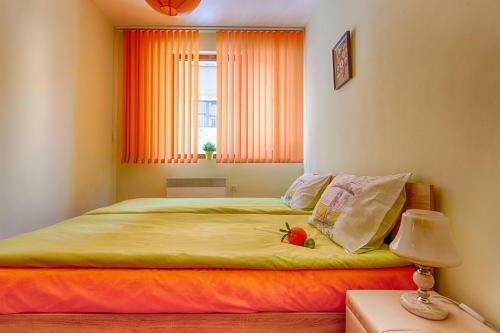Green Orange Apartment