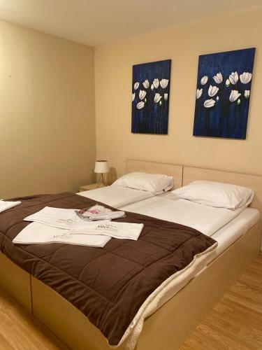 Aspen Suits Studio Apartment