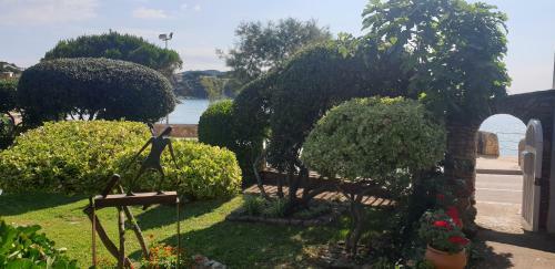 Apartamento Con Jard�n A 11 Metros de La Playa. Se.