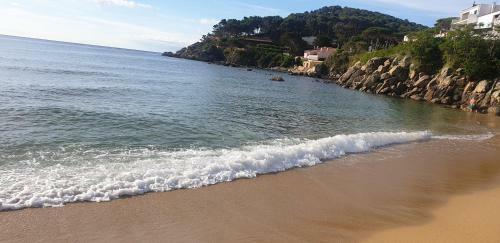 Apartamento Con Jard�n A 11 Metros de La Playa. Se.