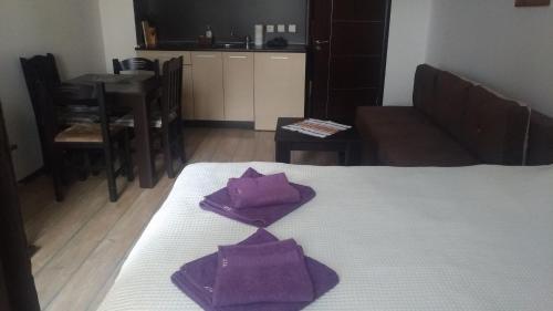 Apartamento Complex Alpine Lodge, Bansko, Studio 4 Personne,