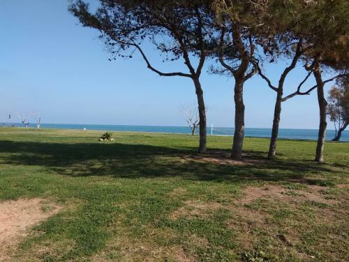 Apartamento Acv - Acapulco Ii-1� Linea Planta 5 Norte