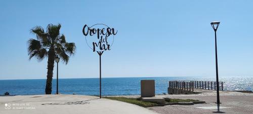 Apartamento Acv - Acapulco Ii-1� Linea Planta 5 Norte