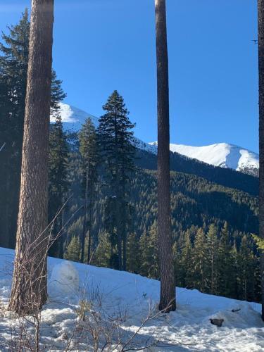 Beautiful Cosy Studio Apartment In Bansko