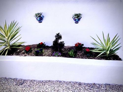 Apartamento Cortijo Calmoso The Bungalow