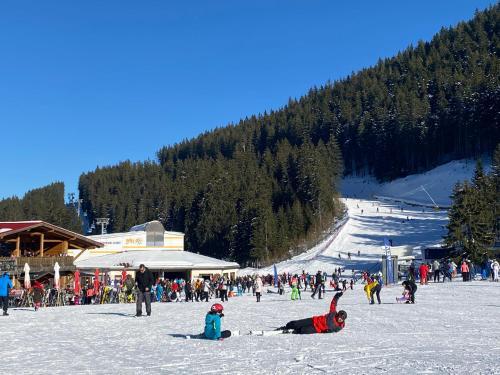 Luxury Private Apartment In Green Life Bansko