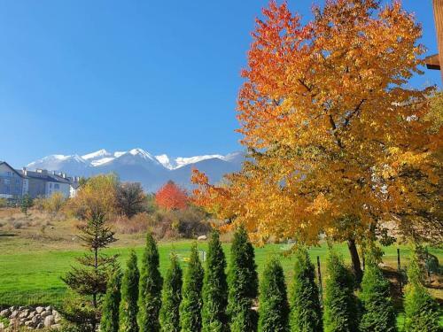 Lovely Apartment With Mountain View & Spa