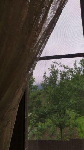 Hostal Nazlukhanyan's Guesthouse