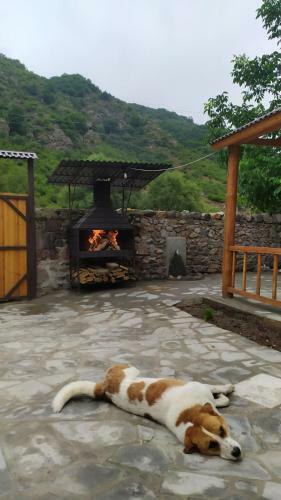Hostal Nazlukhanyan's Guesthouse