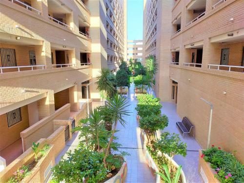 Apartamento Acv - Neptuno - 2 Linea Planta 4 Norte