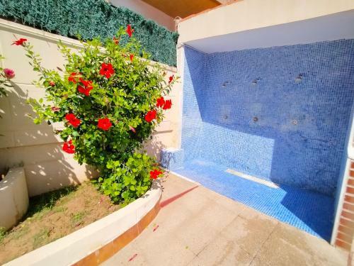 Apartamento Acv - Acapulco I -1�linea Planta 5 Sur 2
