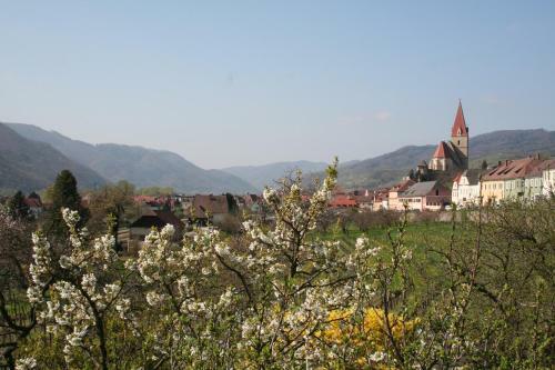 Hotel Garni Donauhof