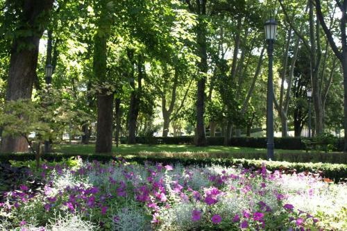 Acogedor, C�ntrico Y Amplio Apartamento! Pamplona Inn 1