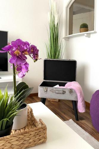 Modern Apartment In A Charming Old Town Setting