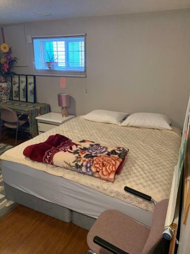 Small Private Basement Suite With Own Bathroom And Share Laundry