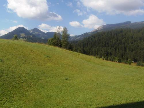 Hotel G�stehaus Boersch