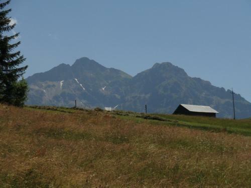 Hotel G�stehaus Boersch