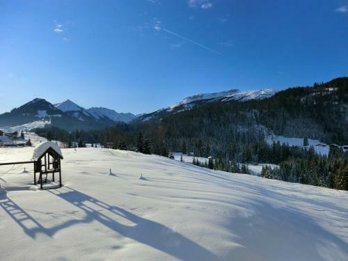 Hotel G�stehaus Boersch