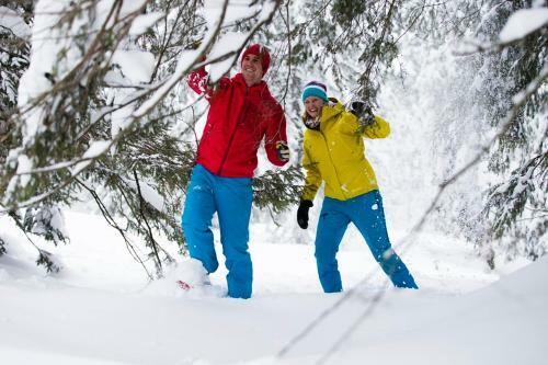 Hostal Alpengasthof H�rnlepass Kr�uterhotel