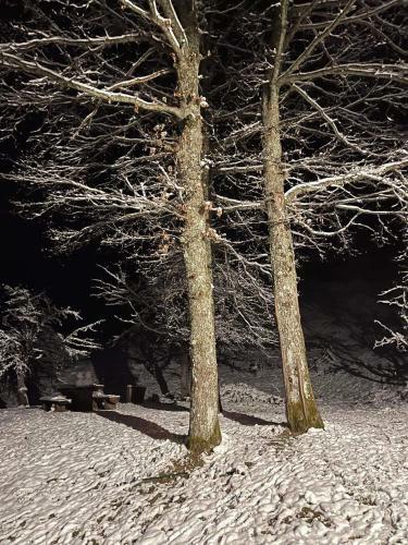 Koliba Za Odmor U Prirodi