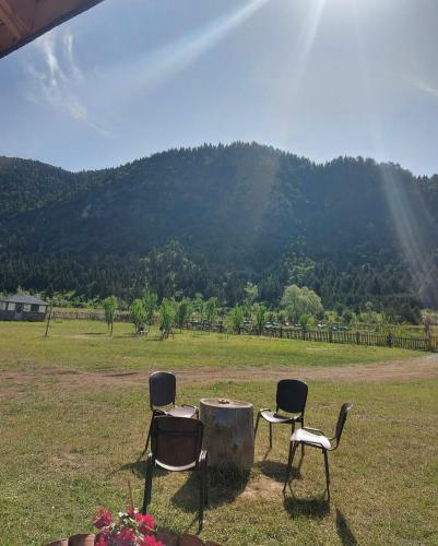 Villa Camping Farm Shelegur