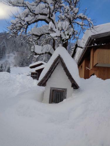 Apartamento Haus Annelies