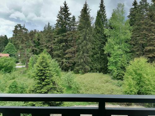 Apartamento Borovets Gardens Studio D36