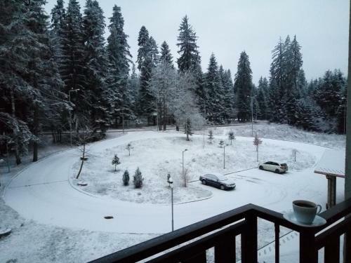 Apartment Relax Borovets