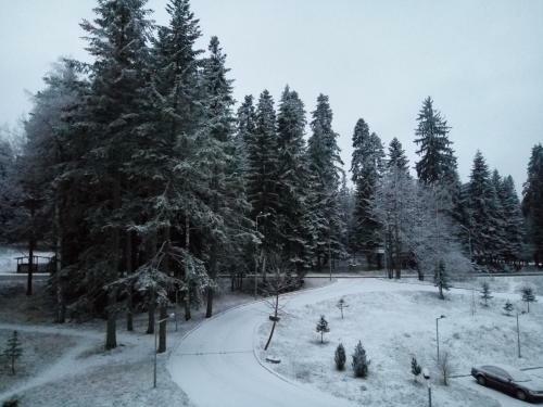 Apartment Relax Borovets