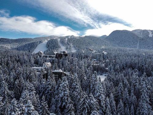 Magri Luxurious Apartment A42 Borovets Gardens