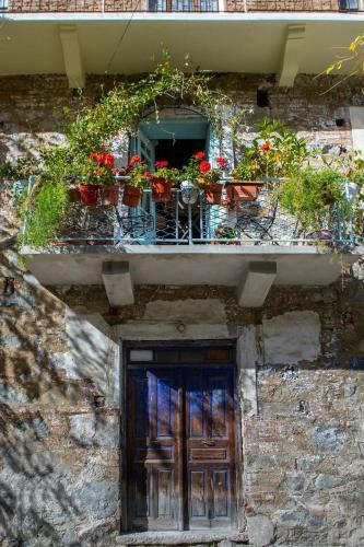Agroturismo Tina's Country Home