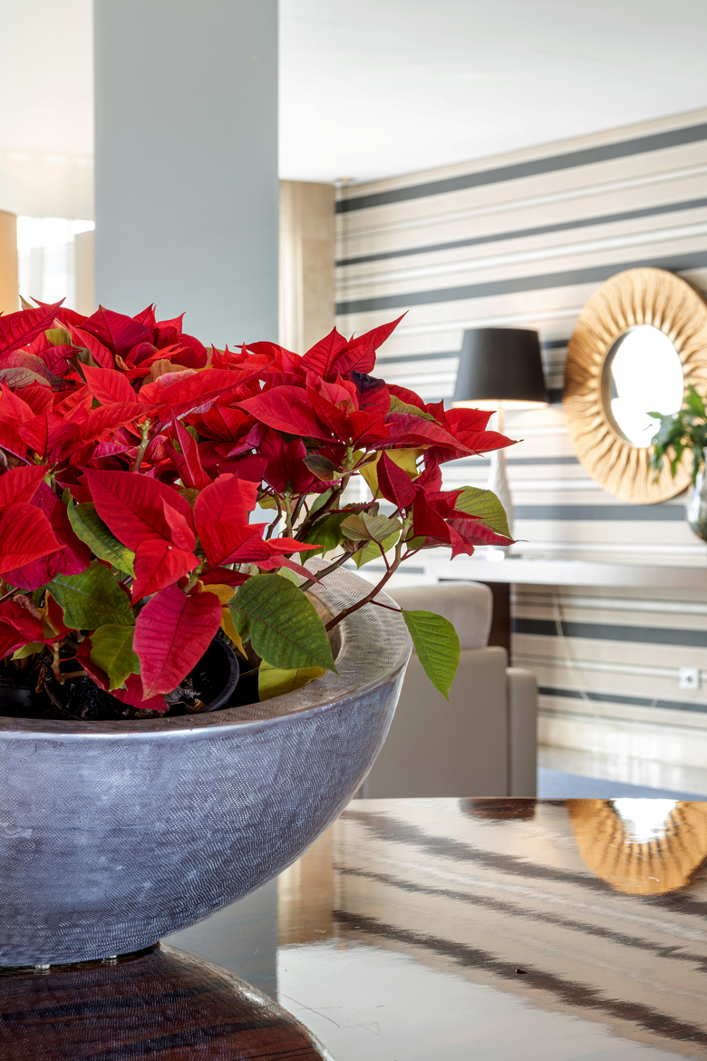 Hotel Porta Do Sol